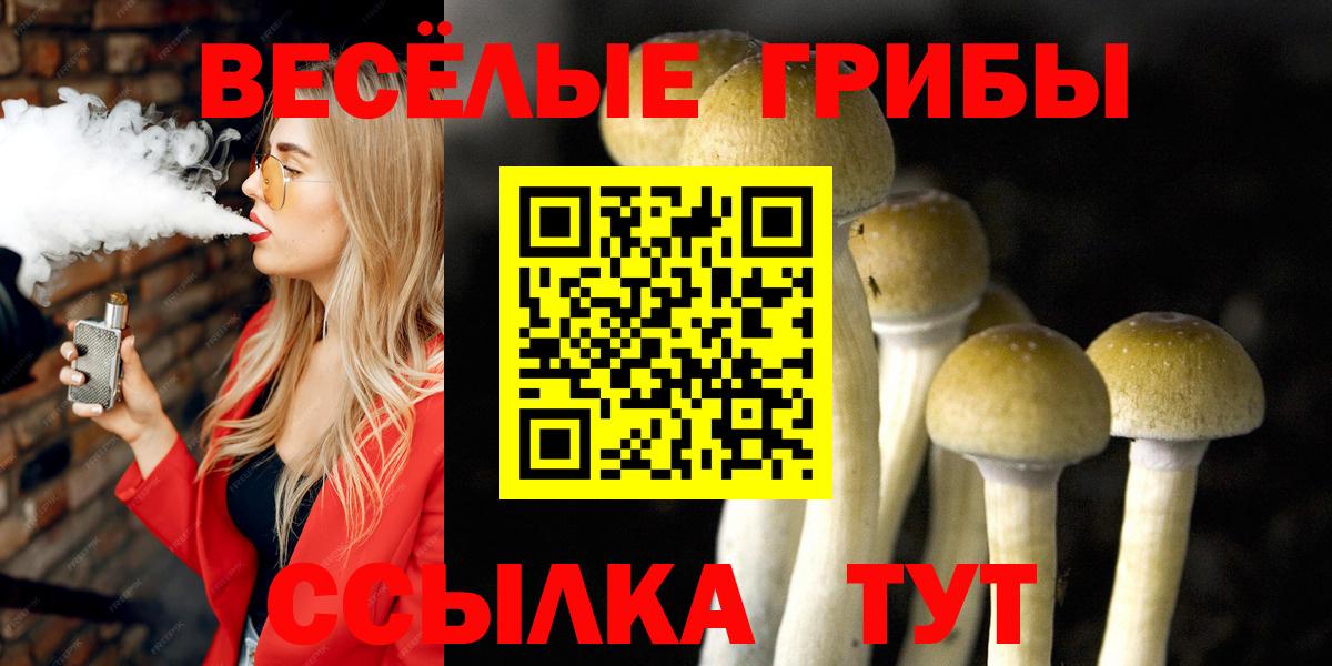 Галлюциногенные грибы мухоморы  Вход с VPN  цена   Арзамас 